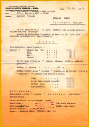 Lepinja · 1978.